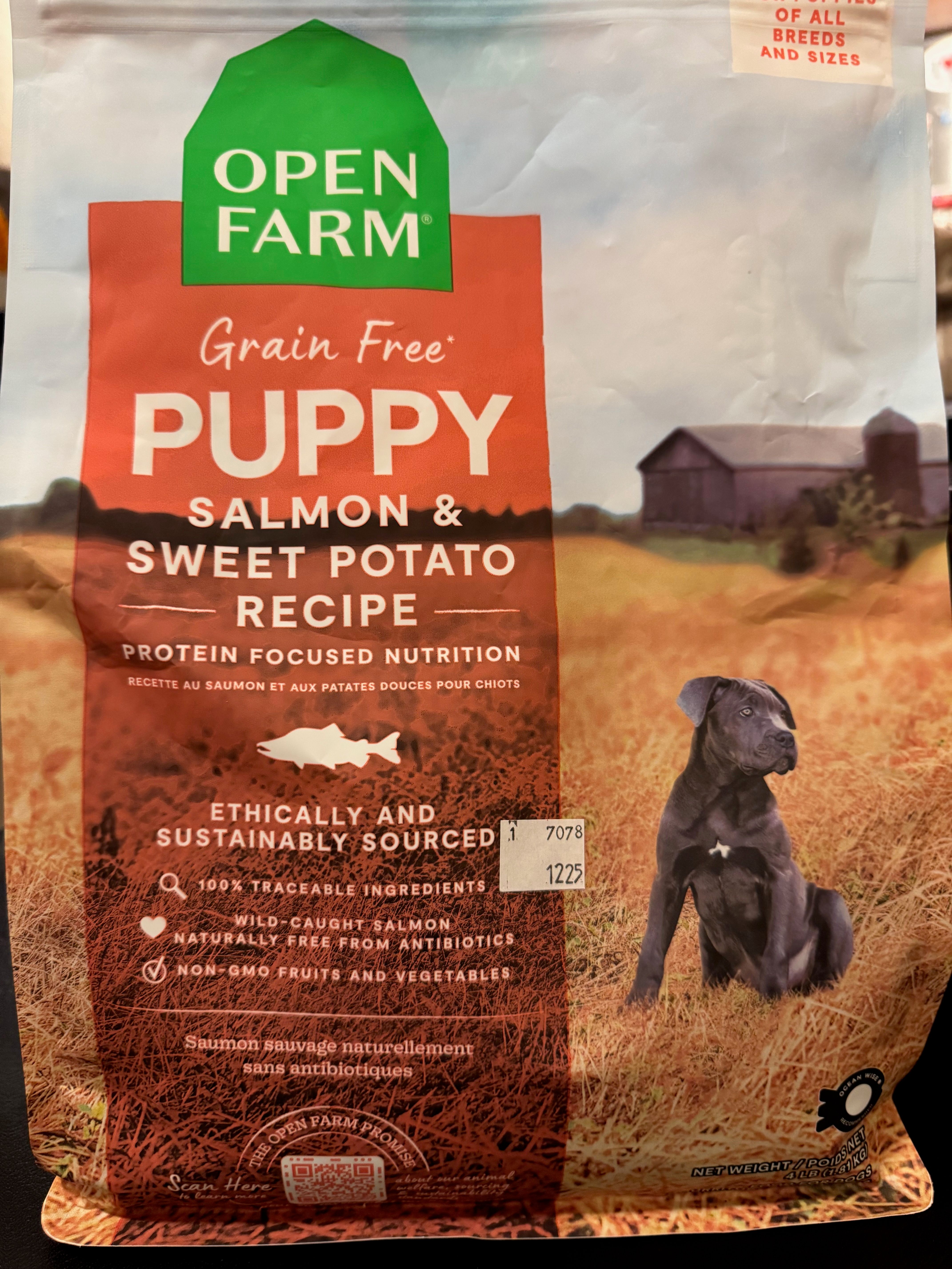 The dry food the puppies have been eating